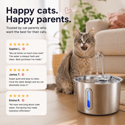 Purrspring - Stainless Steel Cat Water Fountain