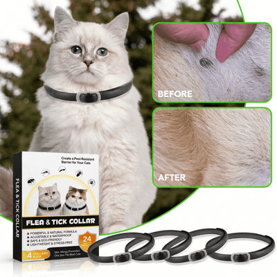 Cat Flea & Tick Collar – Buy 1 Get 3 FREE