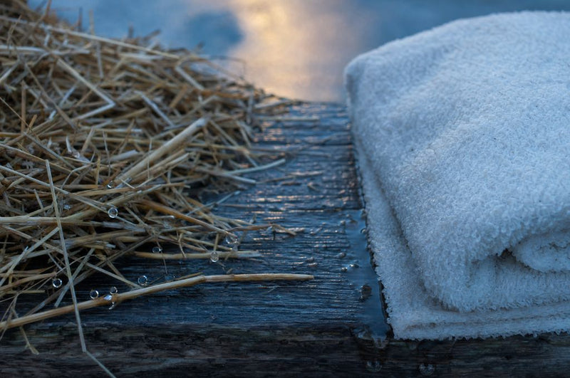 2. Damp does more harm than cold