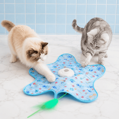 Prowl - Your Cat's Daily Hunt