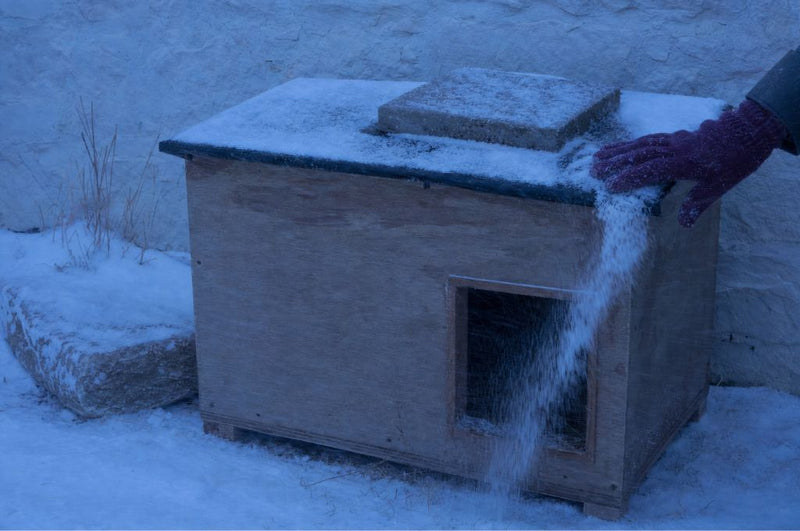4. Wind and snow find the weak point.