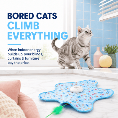 Prowl - Your Cat's Daily Hunt