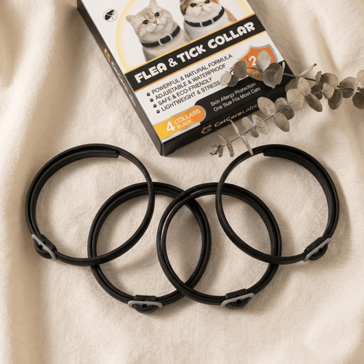 Cat Flea & Tick Collar – Buy 1 Get 3 FREE