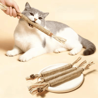 CalmCare™ Dental Sticks