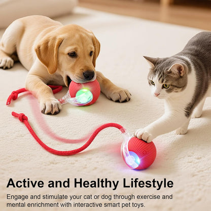 **Interactive Smart Motion Pet Play Ball**