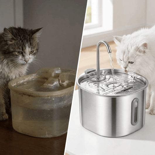 Purrspring - Stainless Steel Cat Water Fountain