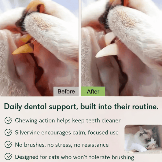 CalmCare™ Dental Sticks