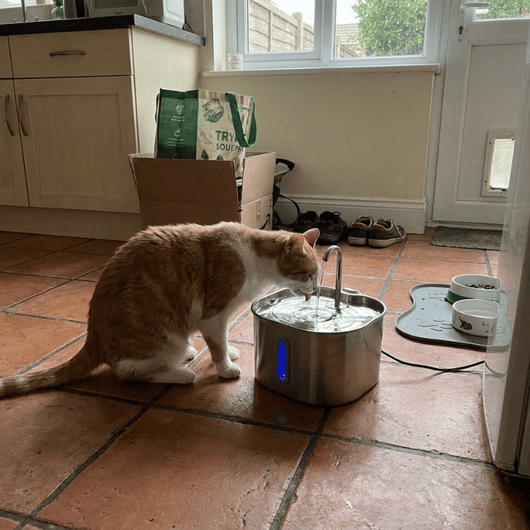 Purrspring - Stainless Steel Cat Water Fountain