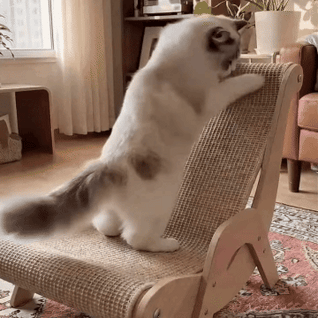 The 2-1 Scratch & Soothe™ Chair