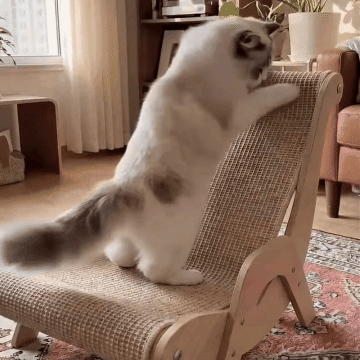 Scaunul 2-în-1 Scratch & Soothe™