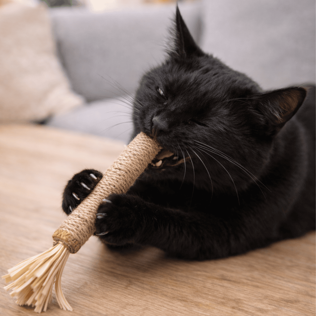 Clinic-grade skin results