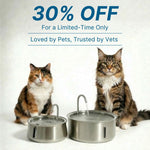 Stainless Steel Pet Hydration Fountain