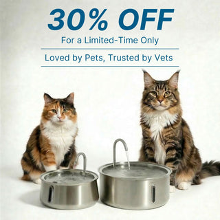 Stainless Steel Pet Hydration Fountain