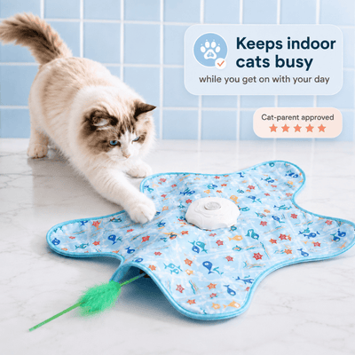 Prowl - Your Cat's Daily Hunt