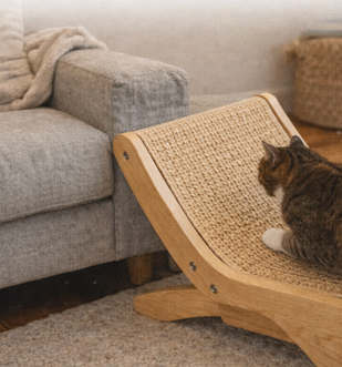 Place It Where They Scratch