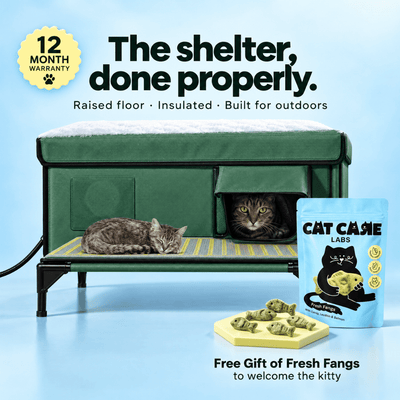 Shelter 01 · Outdoor Functional Cat Shelter