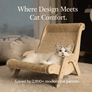 The 2-1 Scratch & Soothe™ Chair