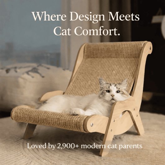 Scaunul 2-în-1 Scratch & Soothe™