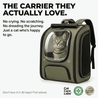 VistaPod™ Cat Backpack