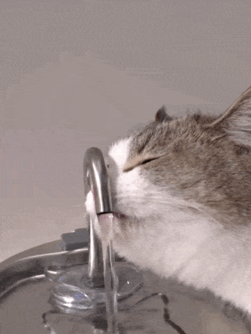 That's the whole idea behind Purrspring