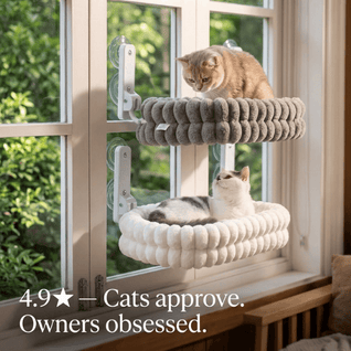 CoolView™ Window Reversable Hammock