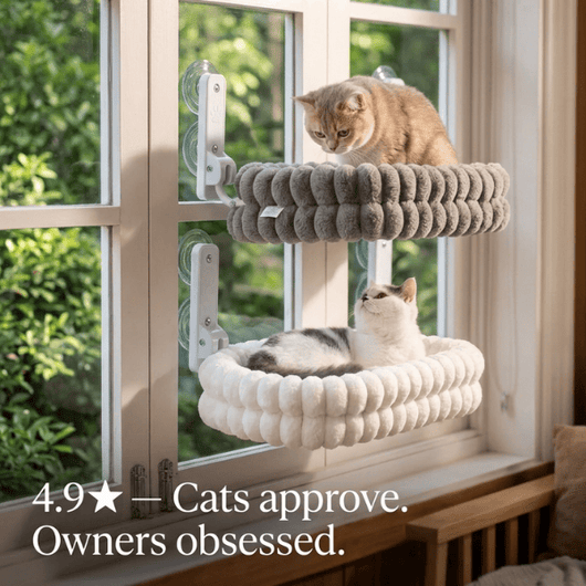 CoolView™ Window Reversable Hammock