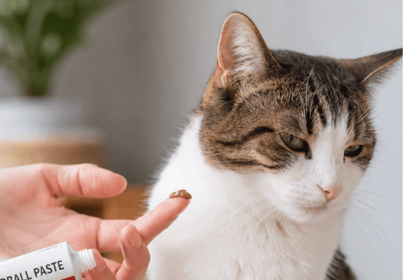 3. Hairball pastes are a hassle, and most cats hate them.