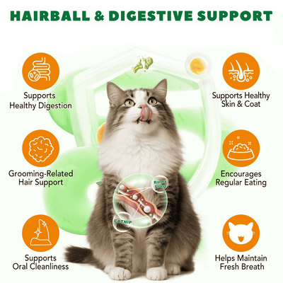 PurrGrass Mușcături Zilnice Calmant Dentare