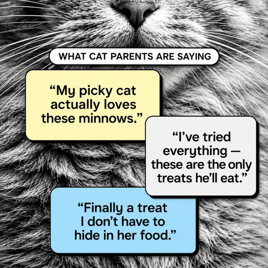 Whole Minnows – Single-Ingredient Cat Treats